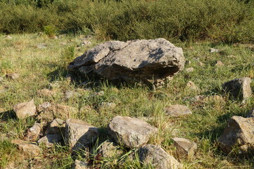 rocks in the grass