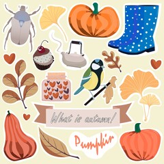 Set of vector stickers on the autumn theme. Pumpkins, rubber boots, birds, lettering and more in autumn shades. 