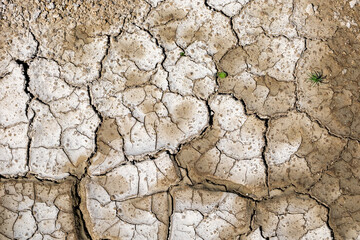 Dry  cracked chalk road in the process of drought and lack of rain or moisture. Hydrological drought, ecological catastrophe