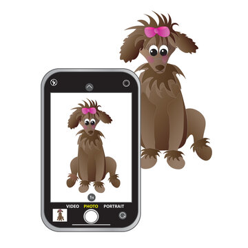 Graphic illustration of poodle-like dog and smartphone.