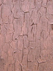 Texture of the old wood wall.