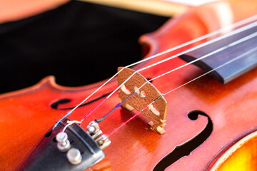 Fragment of handmade violin. 