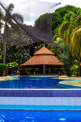 Swimming pool with palm tree and lounge bar. Fresh water pool banner template. Empty amenities of hotel or resort. Pandemic travel ban. Sunny swimming pool with clean water ripples. Pool service