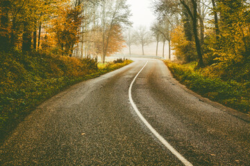 Fototapeta premium curvy road in beautiful foggy forest in autumn