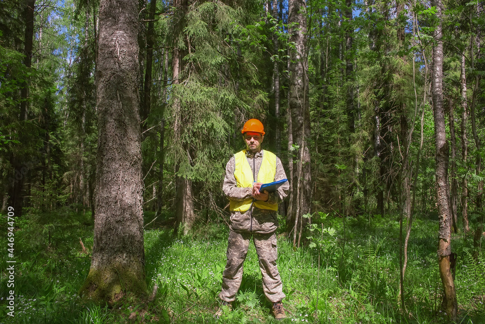 Wall mural a forest engineer works in the forest. accounting for the forest fund. voluntary forest certificatio