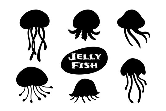 Silhouette Jellyfish Set Illustration