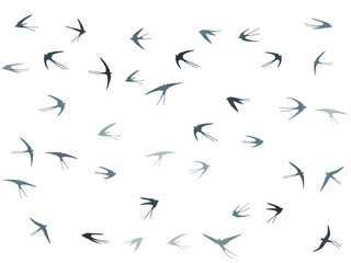Flying martlet birds silhouettes vector illustration. Nomadic martlets bevy isolated on white.