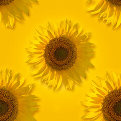 Seamless background with sunflower heads. Concept of positivity, emotions, and a healthy mindset. Repeating pattern for web or print.