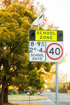 School zone sign on autumn day