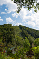 the top of the mountain is covered with a dense forest in summer