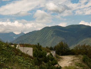 Fototapeta na wymiar the top of the mountain is covered with a dense forest in summer