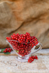 red currants on wooden background, red currants