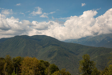 the top of the mountain is covered with a dense forest in summer