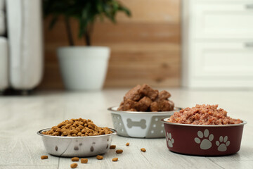 Different pet food in feeding bowls on floor indoors, space for text - Powered by Adobe