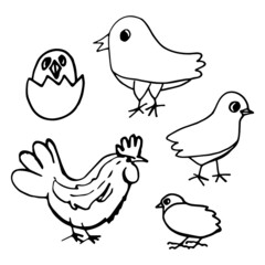 chickens and hen, egg silhouette isolated. doodles sketches set