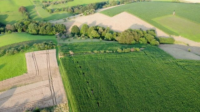 Drohnenaufnahme, Agrarlandschaft im Sommer