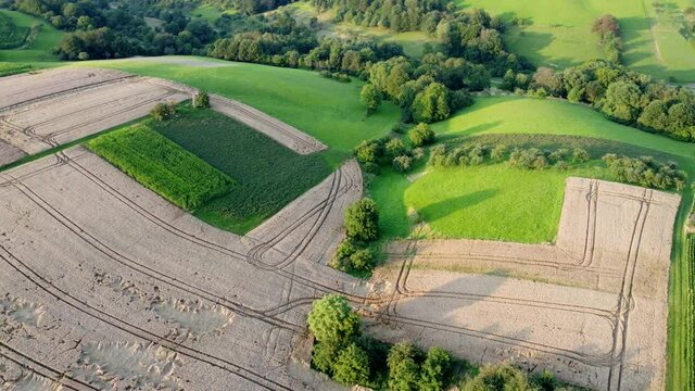 Drohnenaufnahme, Agrarlandschaft im Sommer