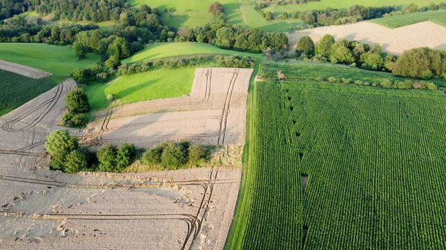 Drohnenaufnahme, Agrarlandschaft im Sommer