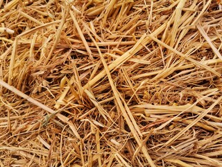 Hay and haystack