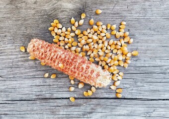 Corn cocoons and corn kernels.