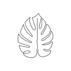 Monstera leaf continuous line drawing. One line art of leaves, herb, plants.