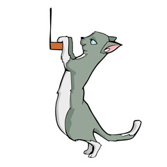 Cat Cute cartoon illustration on white background Vector illustration.