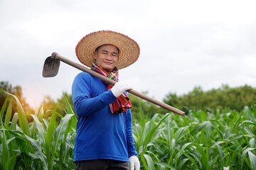Asian farmer carry a hoe on shoulder to work at corn field. Concept : agriculture occupation....
