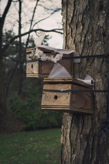 wooden bird house