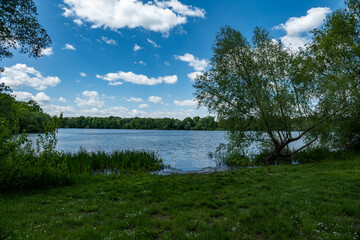 Leipzig, Auwald