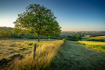 Paysage campagne 969