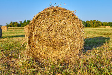 A large bale of hay in the field, photo at sunset