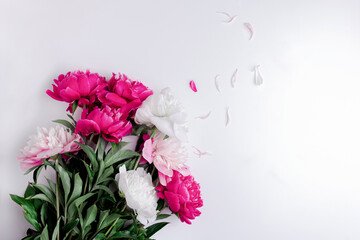Fresh pink and white peonies bouquet on white  background. Copy space.