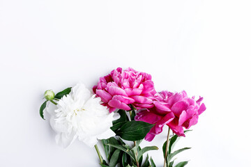 Fresh pink and white peonies bouquet on white background. Copy space.