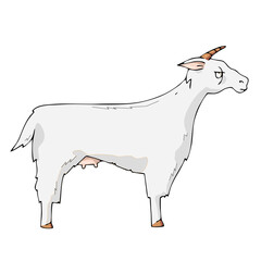 Goat on white background Cute Cartoon Vector illustration.