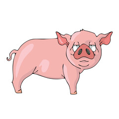 Pig on white background Cute Cartoon Vector illustration.