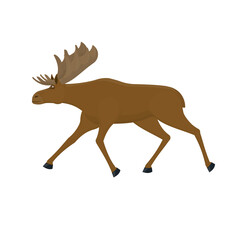 Elk. Animal moose, vector illustration
