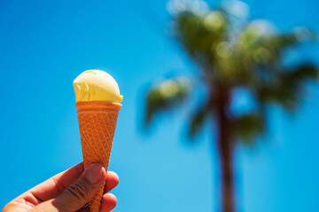 ice cream in a hand