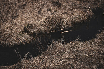rivulet