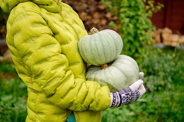 Women's gloved hands hold 2 pumpkins in the background of their country house.