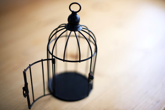 Close Up Open Bird Cage : Freedom Concept