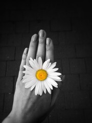 a flower on your hand