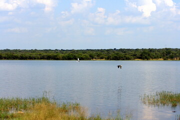 Peaceful landscape with two birds flying over the river, Pilanesberg National Park, Sun City, South Africa