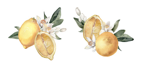 Watercolor hand drawn bouquets of lemons, citrus flowers and branches. Perfect for invitation and social media.