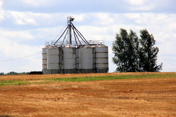Fototapeta na wymiar Grain warehouse. Old grain elevators in a field at sunset