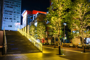 Fototapeta premium 東京都 秋葉原のクリスマスイルミネーション