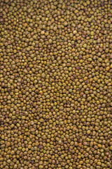 roasted green gram or mung beans, high nutrients and antioxidant grain legumes closeup full frame
