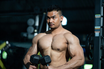 Plakat Handsome shirtless adult Asian men sweating while lift up the dumbbell workout for arm biceps muscle part inside of fitness gym. Bodybuilding athlete sport training for body strength and good health.