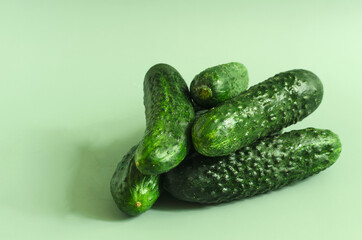 Large green cucumbers on a green background of kopi space. Green cucumbers close-up.
