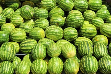 A large pile of ripe large watermelons at a grocery market illuminated by bright sunlight