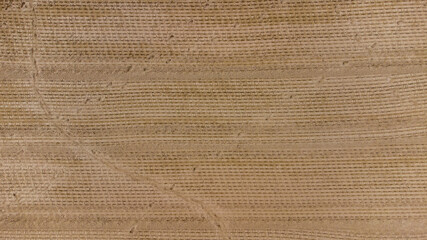 Salacgriva, Latvia: horizontal lines on the sand after beach cleaning